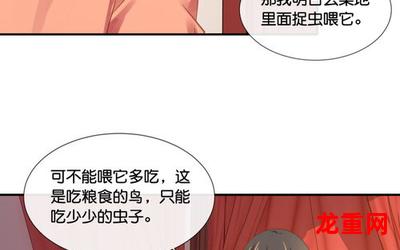 100天的约定（漫画完结版）（全文在线阅读）